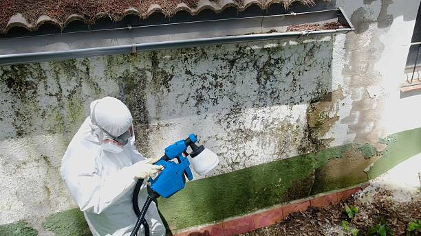 Top rated local Mold Remediation specialists in Edison, GA